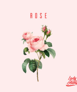 rose by lady hemp