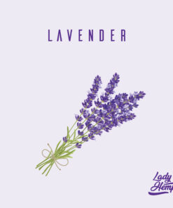 lavender by lady hemp