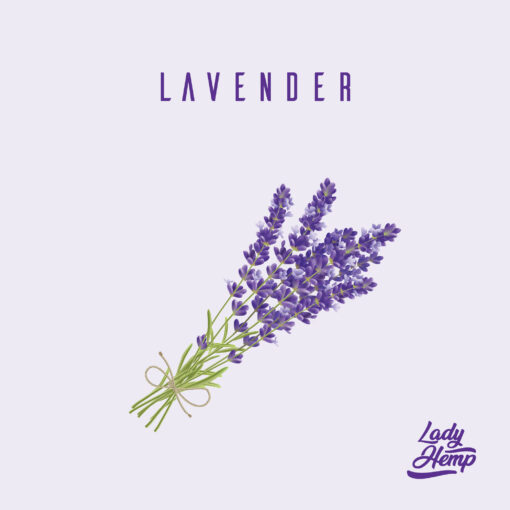 lavender by lady hemp