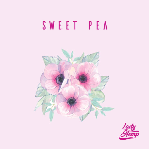 sweet pea by lady hemp